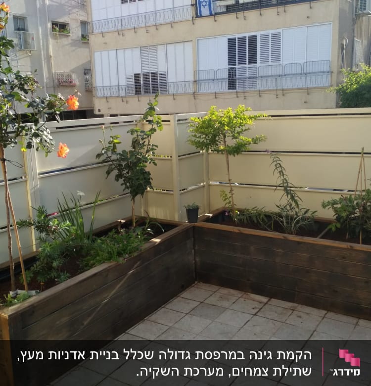 ערוגות עץ עם צמחים ופרחים בגינה עירונית